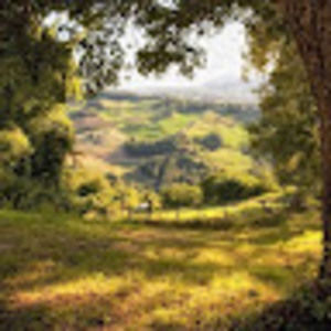 Meet your Posher, Ellen